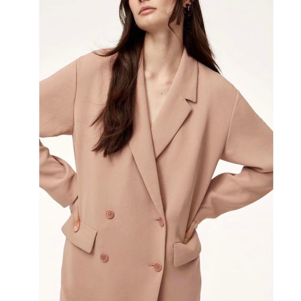 Aritzia Wilfred Destiny Blazer